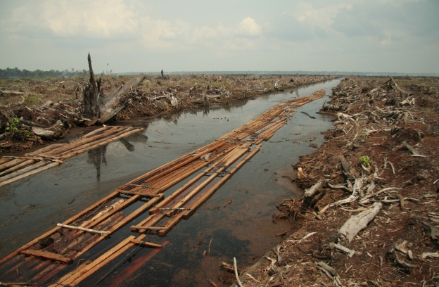 Riau_deforestation_2006